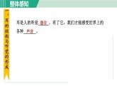 浙教版七年级科学下册课件 2.3 耳和听觉 第1课时