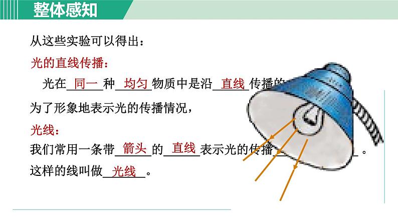 浙教版七年级科学下册课件 2.4 光和颜色 第1课时第7页