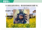 浙教版七年级科学下册课件 2.6 透镜和视觉 第1课时