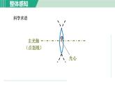 浙教版七年级科学下册课件 2.6 透镜和视觉 第1课时