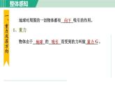 浙教版七年级科学下册课件 3.3 重力