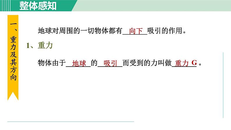 浙教版七年级科学下册课件 3.3 重力02