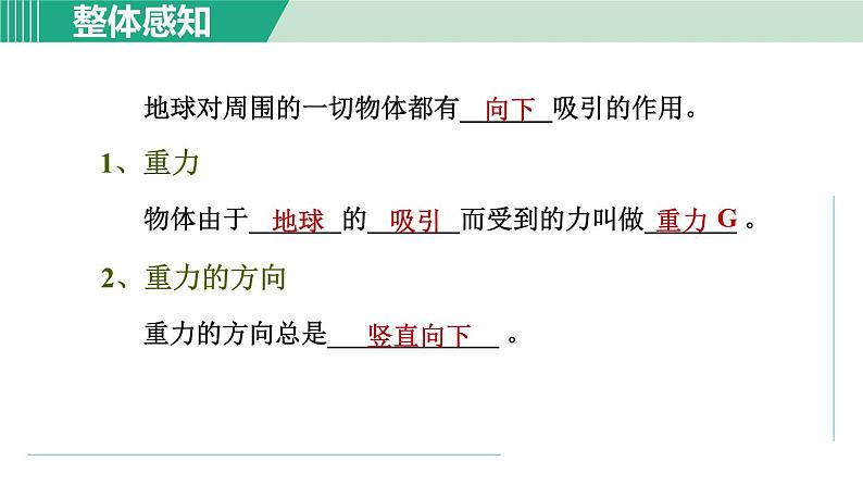 浙教版七年级科学下册课件 3.3 重力04