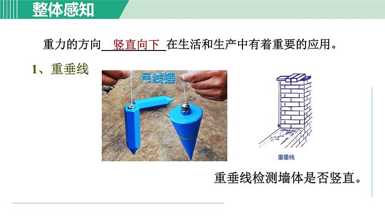 浙教版七年级科学下册课件 3.3 重力05