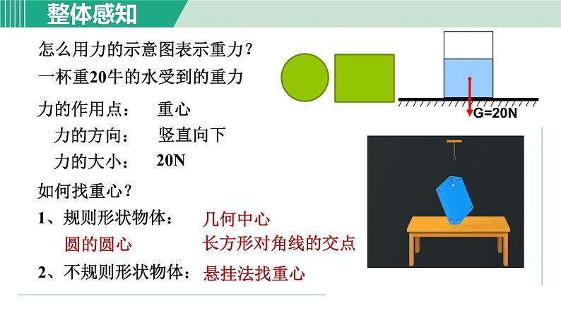 浙教版七年级科学下册课件 3.3 重力07