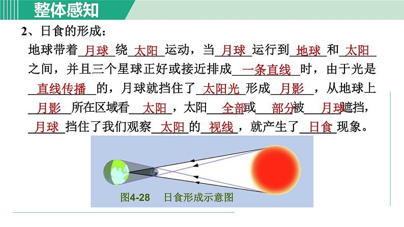 浙教版七年级科学下册课件 4.5 日食和月食 第1课时第5页