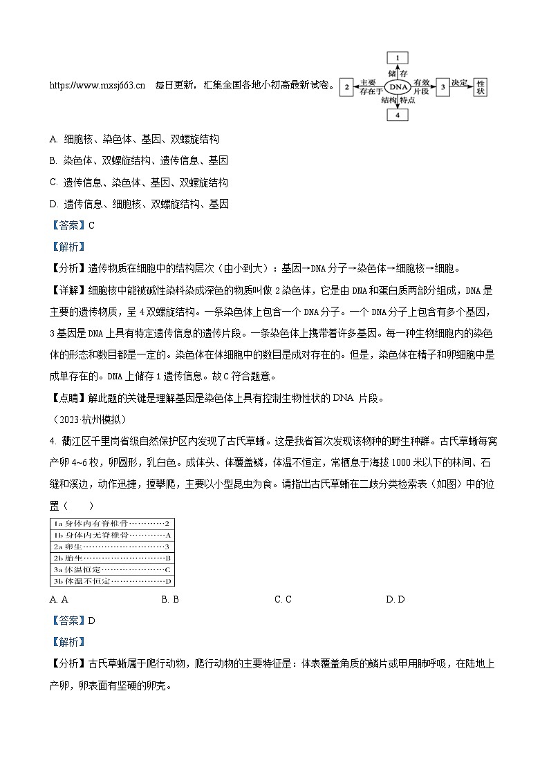 2023年浙江省杭州市保俶塔申花实验学校中考二模科学试题02