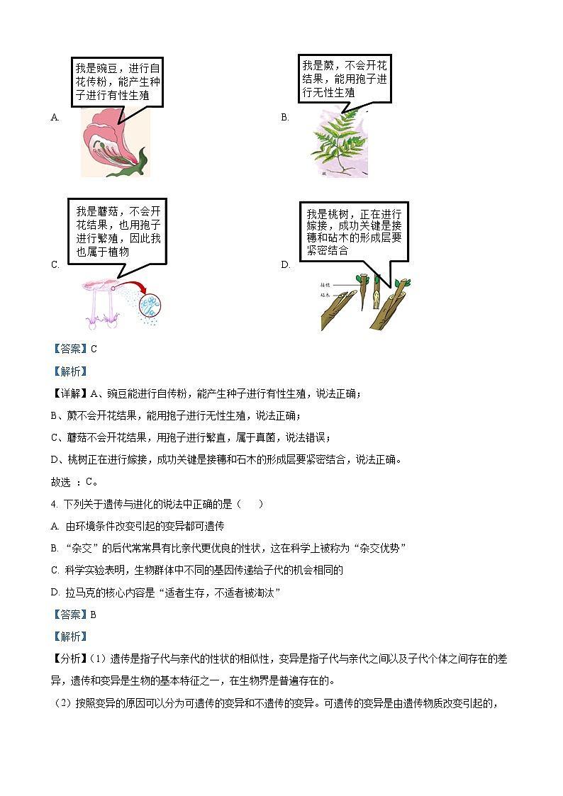 05，浙江省杭州市启成学校2023-2024学年九年级下学期开学考试科学试题03