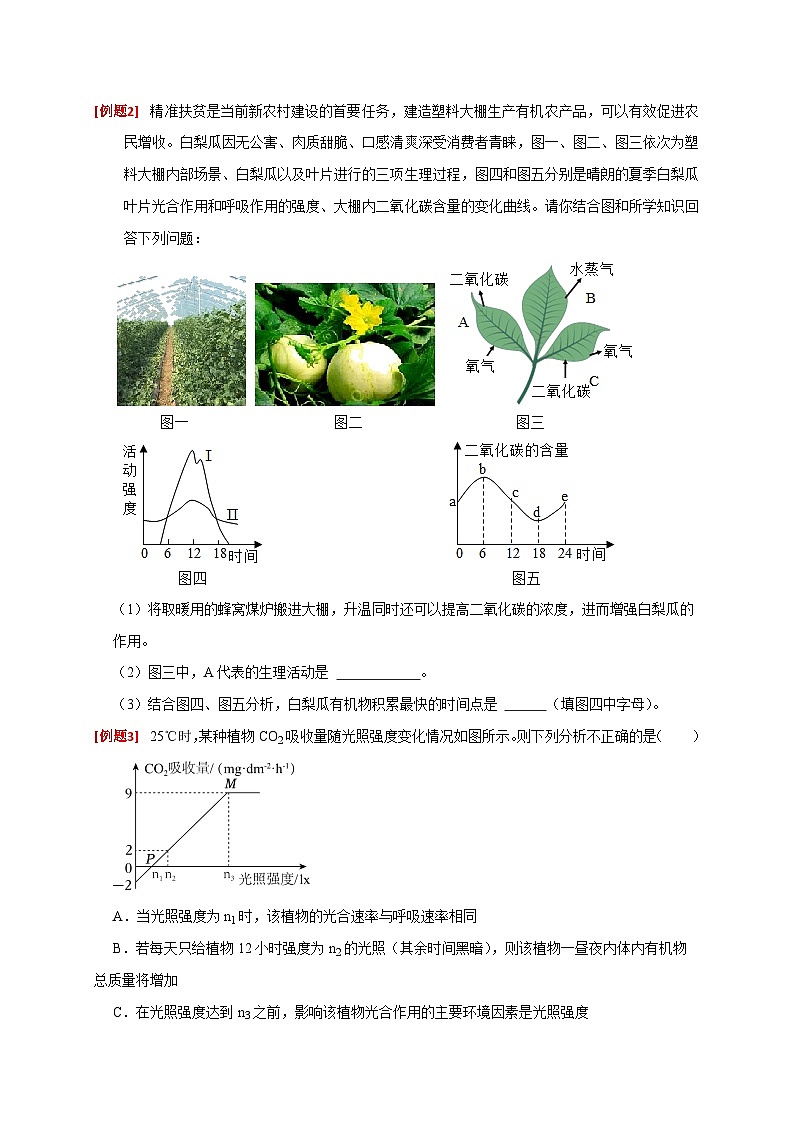 专题02 植物新陈代谢（原卷版）第2页