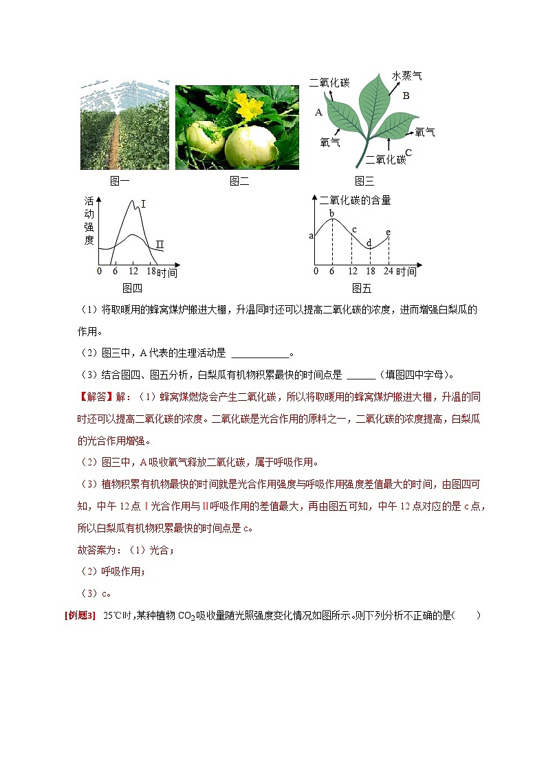 专题02 植物新陈代谢（解析版）第3页