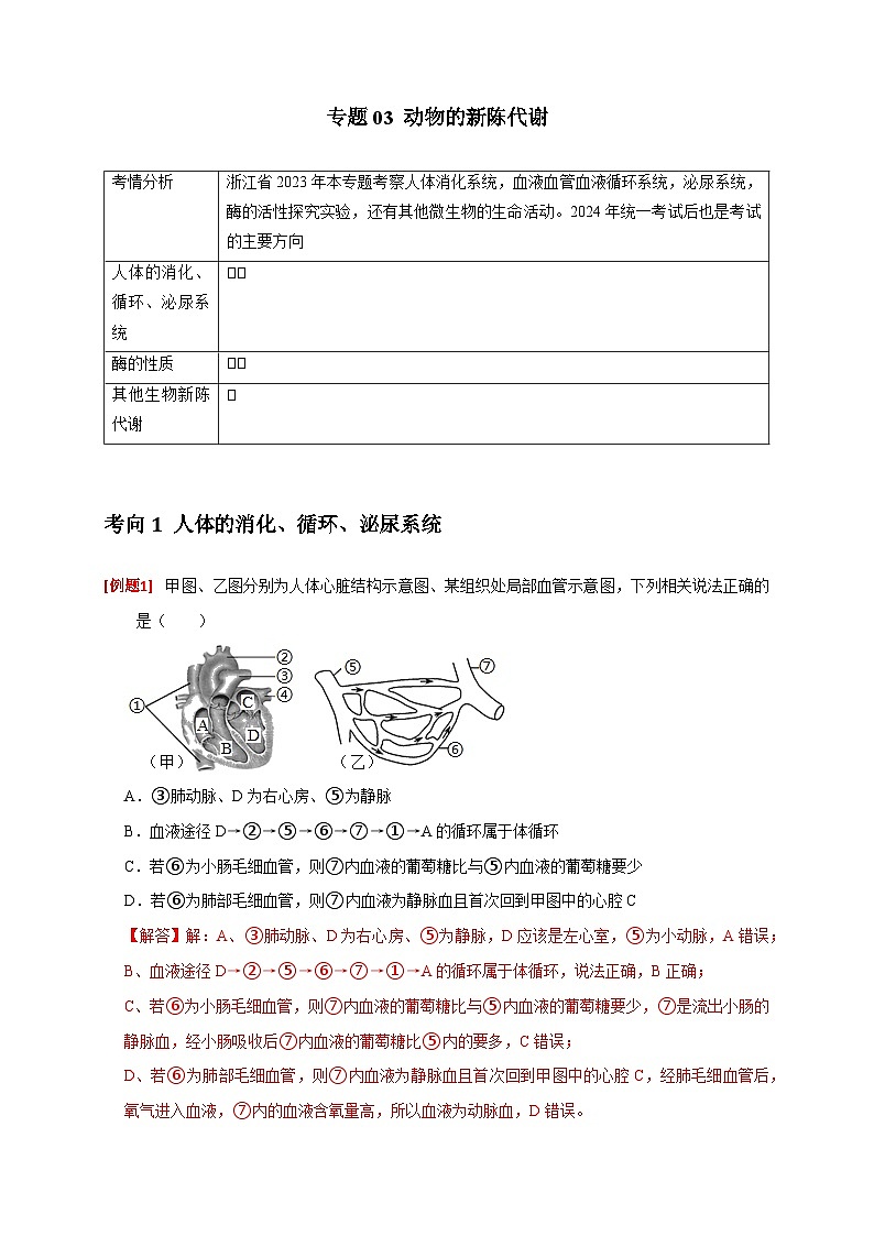 专题03 动物的新陈代谢（解析版）第1页