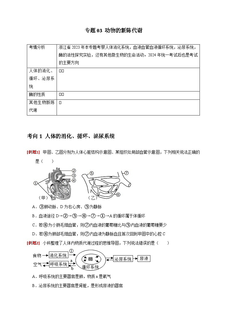 专题03 动物的新陈代谢（原卷版）第1页