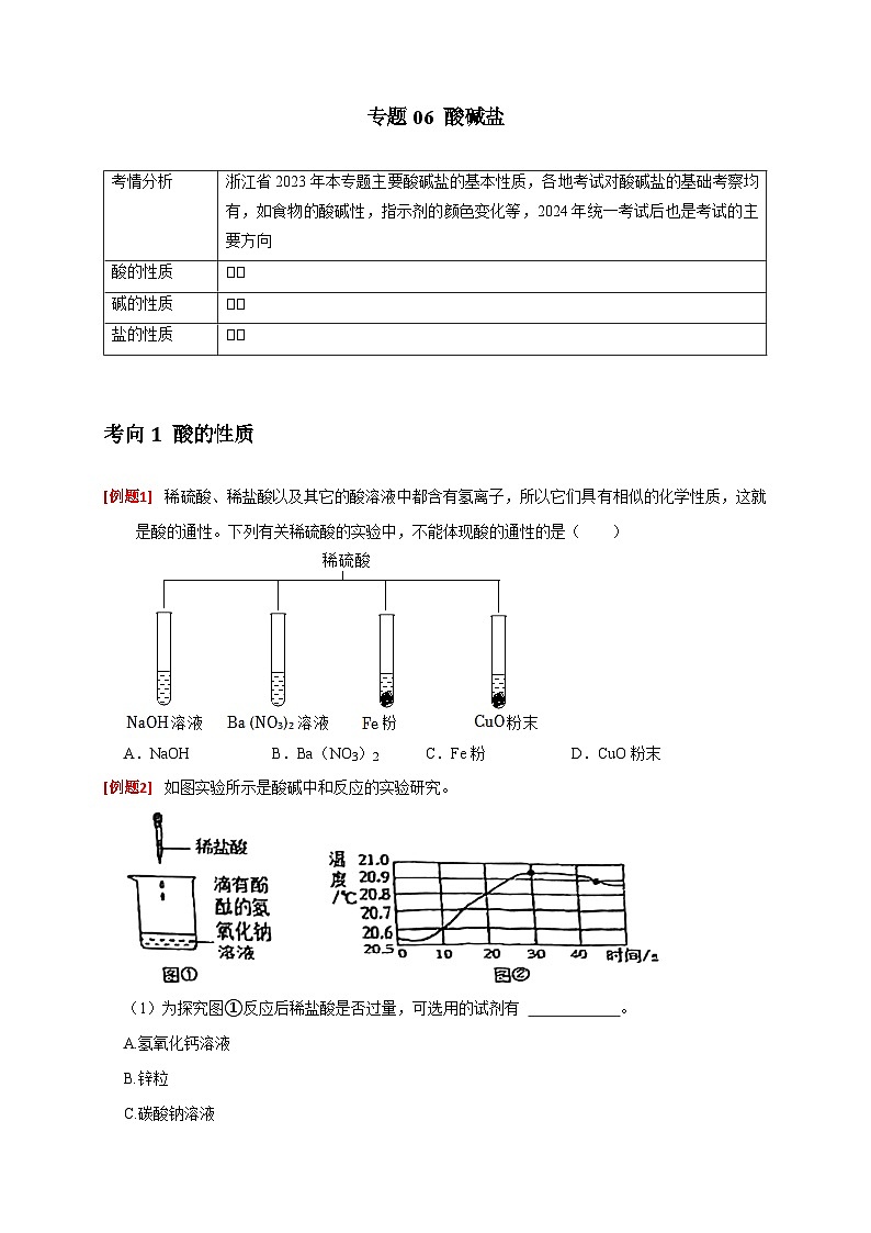 专题06 酸碱盐（原卷版）第1页