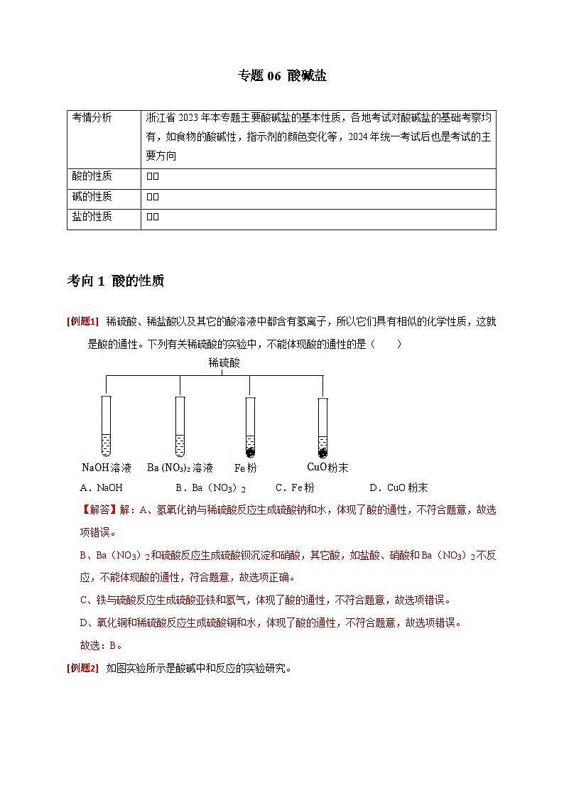 专题06 酸碱盐（解析版）第1页