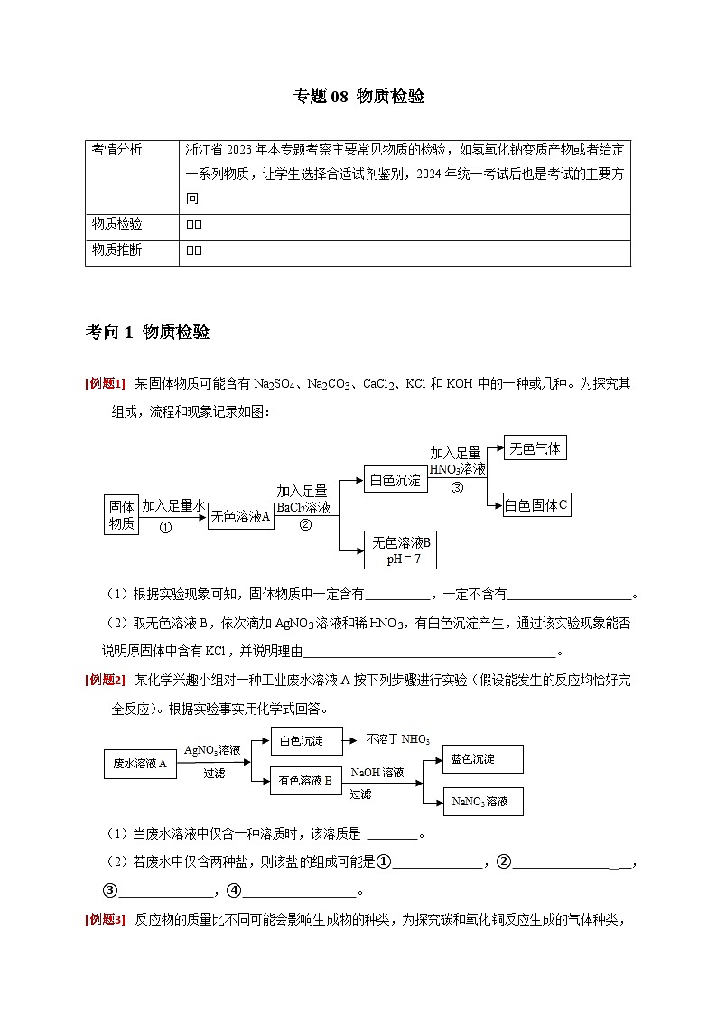 专题08 物质检验——2024浙江中考科学（省统考）分类专练01