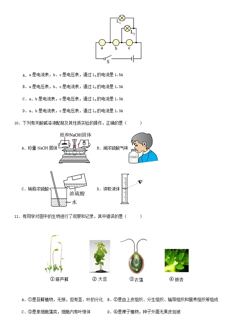 2024年浙江省中考科学三模冲刺训练试卷解析版03