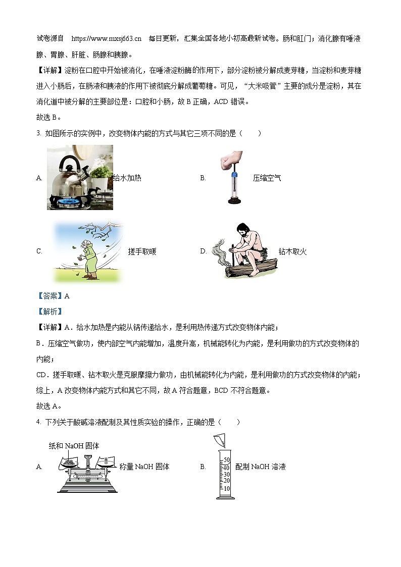 浙江省金华市东阳市横店教共体八校联考2023-2024学年九年级下学期开学考试科学试题03