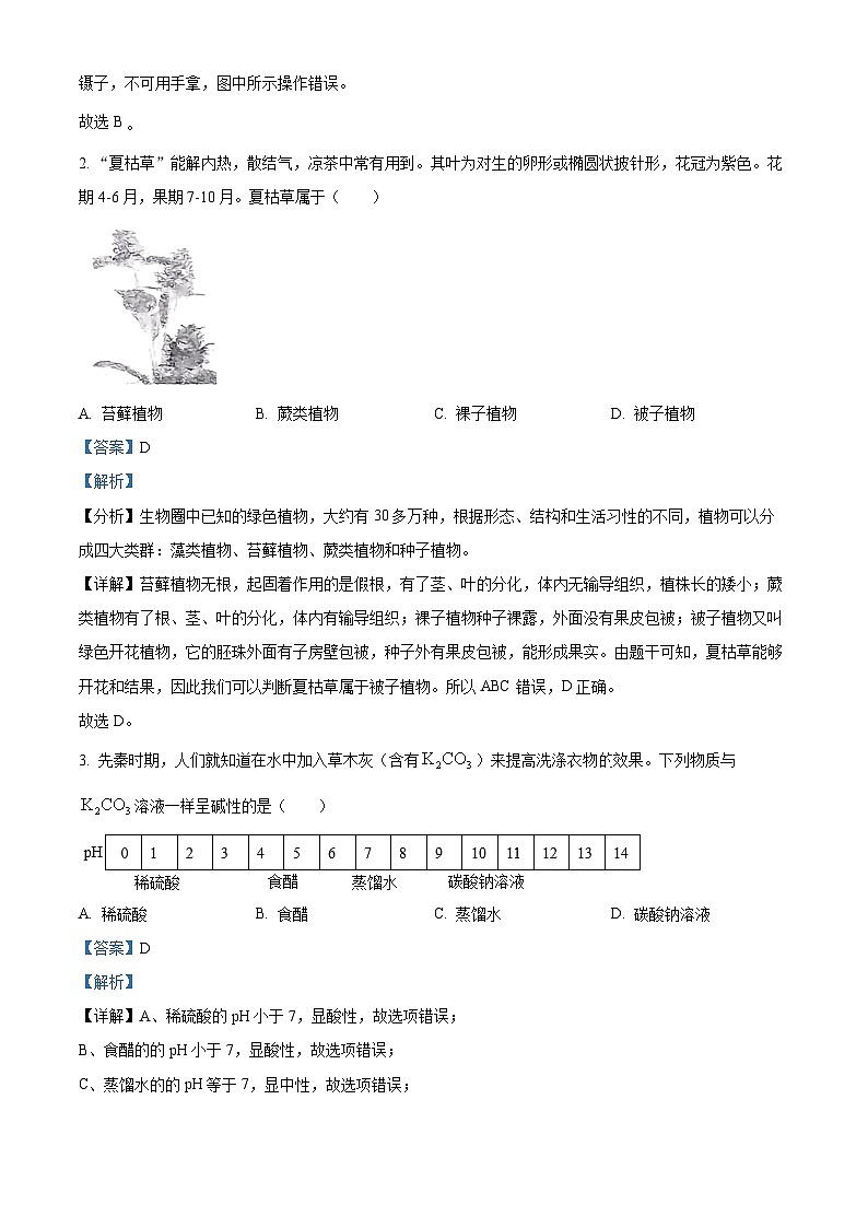 浙江省温州市第二中学2023-2024学年九年级下学期开学考试科学试题03