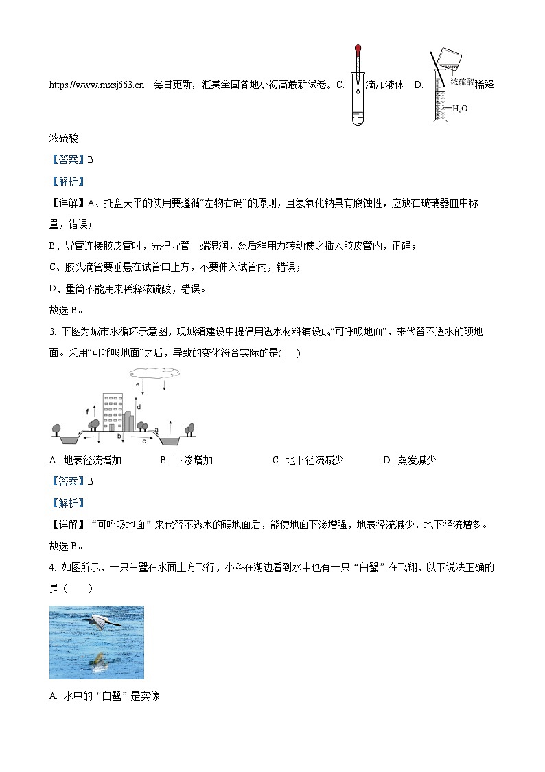 浙江省义乌市丹溪中学2023-2024学年九年级下学期开学考试科学试题03