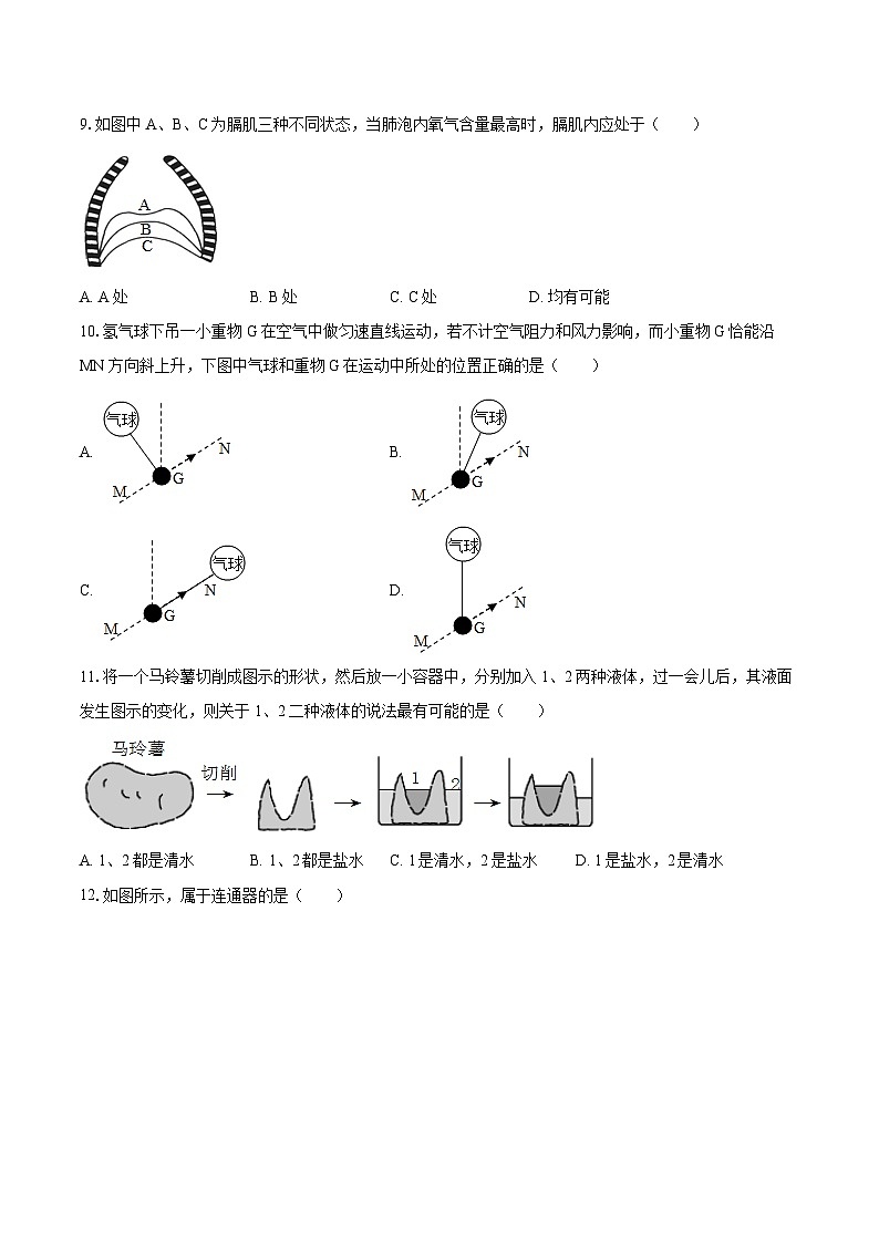 2022-2023学年浙江省宁波市江北实验中学八年级上学期期末科学试卷+03