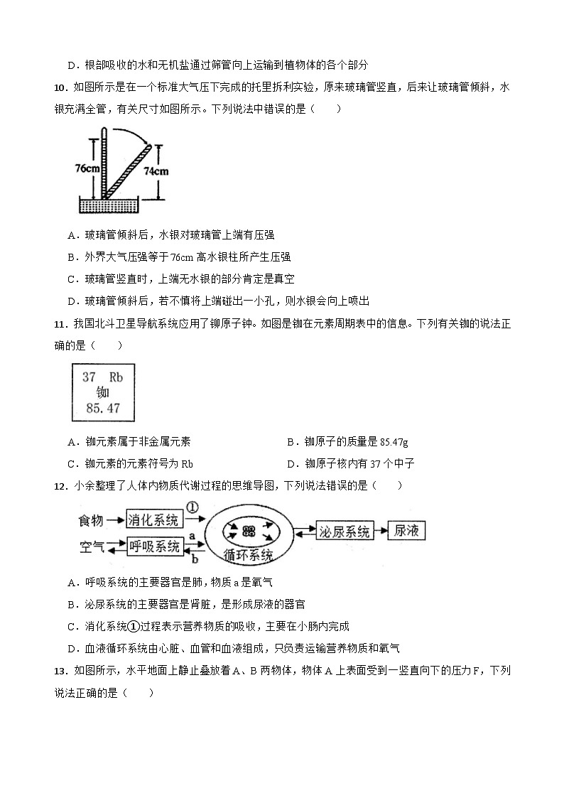 浙江省宁波余姚市2023-2024学年八年级上学期期末科学试卷03