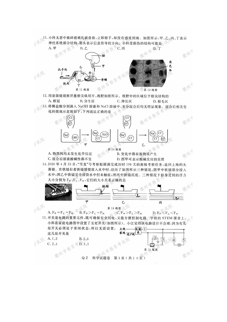 2020年浙江衢州中考科学真题及答案03