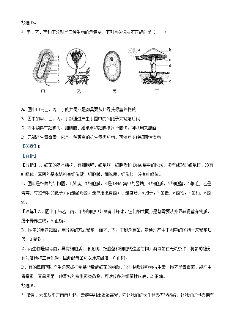 浙江省杭州市十三中教育集团2023-2024学年七年级下学期期中科学试题03