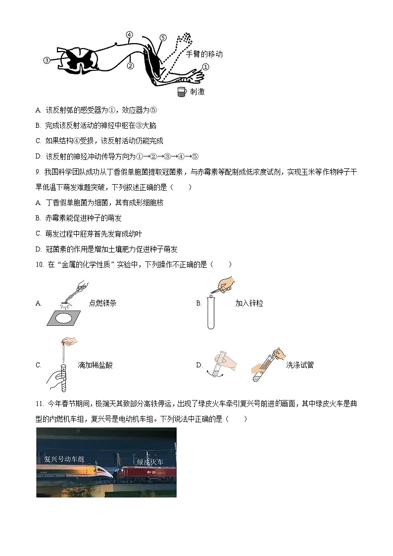 2024年浙江省杭州市保俶塔申花实验学校九年级第一次模拟科学试题（原卷版+解析版）03