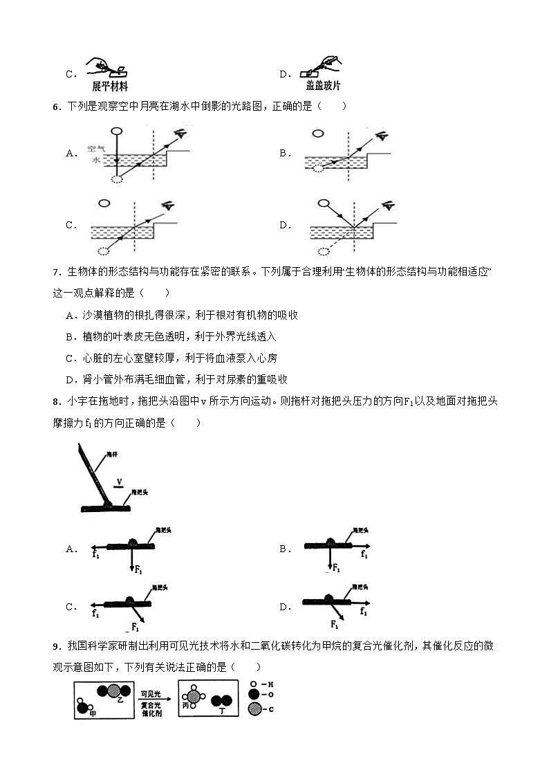 2024年浙江省杭州市临平区中考一模科学试卷+02