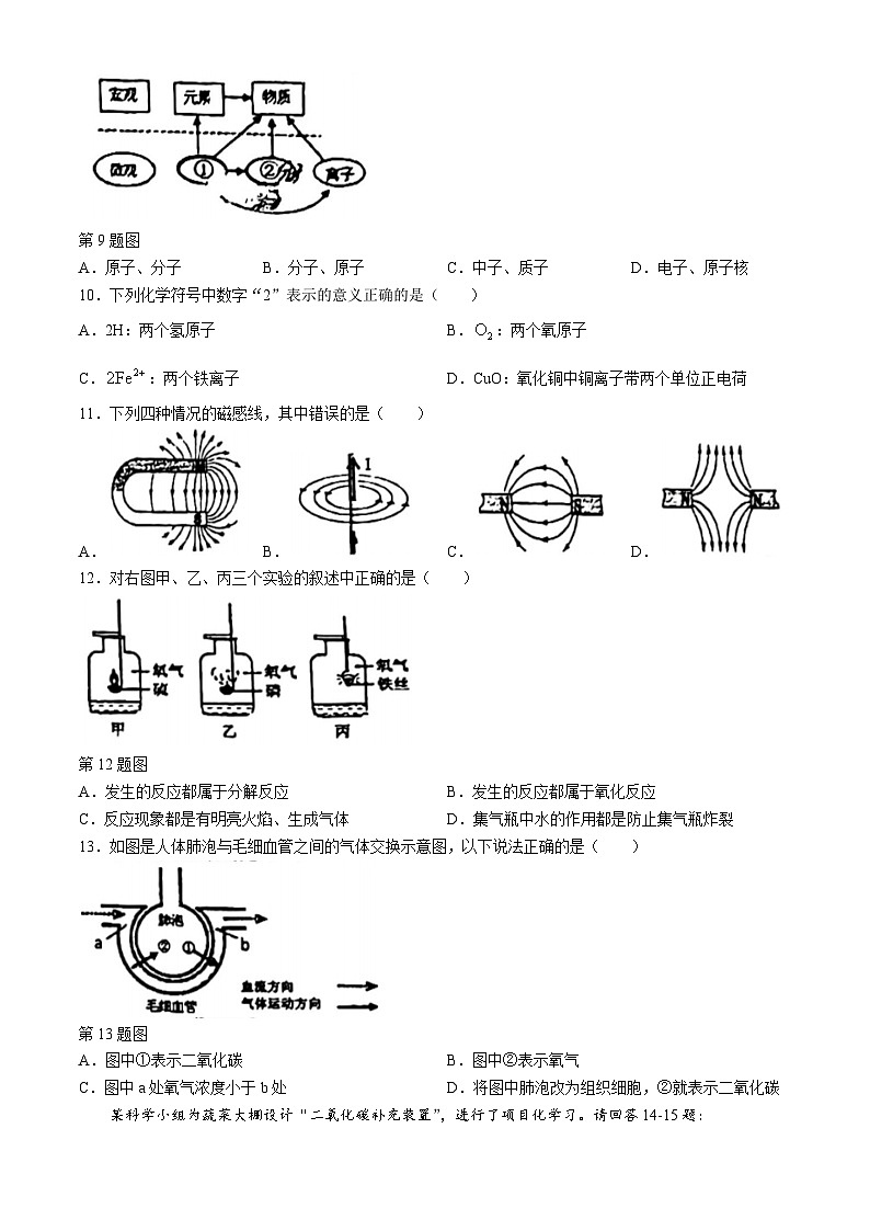 31，浙江省温州市瑞安市安阳实验中学2023-2024学年八年级下学期第二次月考科学试题(无答案)03