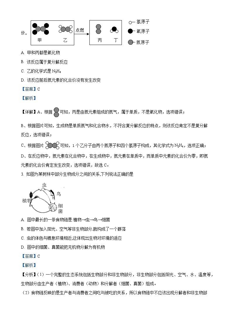 12，浙江省杭州市杭州观城教育集团2023-2024学年九年级下学期4月月考科学试题02