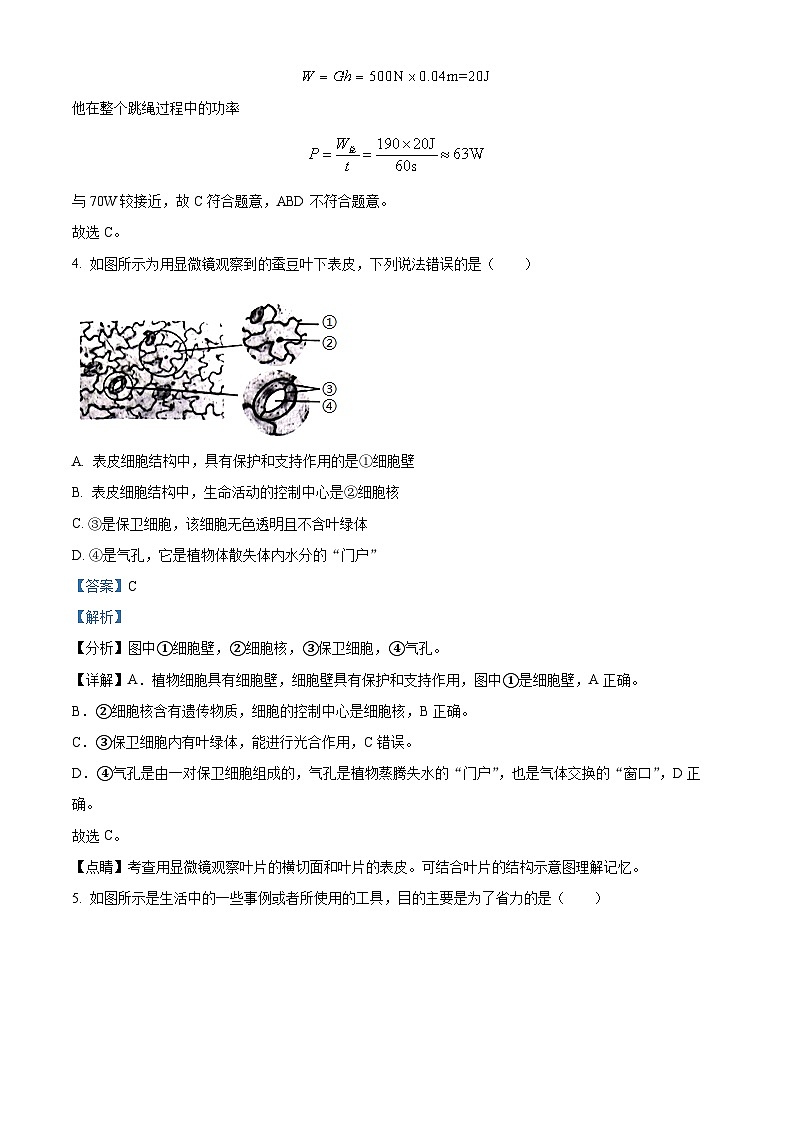 13，浙江省杭州市杭州高新实验学校2023-2024学年九年级下学期期中科学试题03