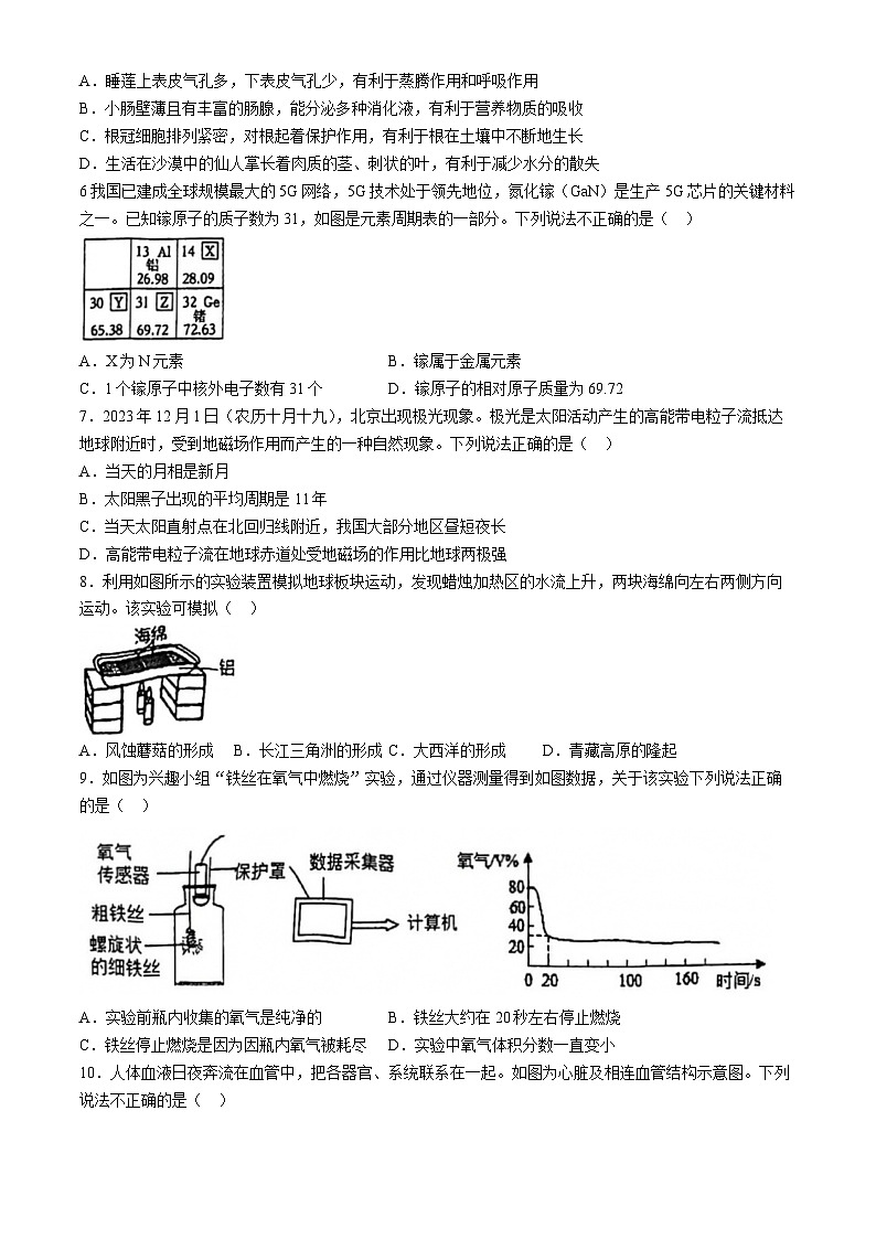 2024年浙江省杭州市弘益中学九年级二模科学试题(无答案)第2页