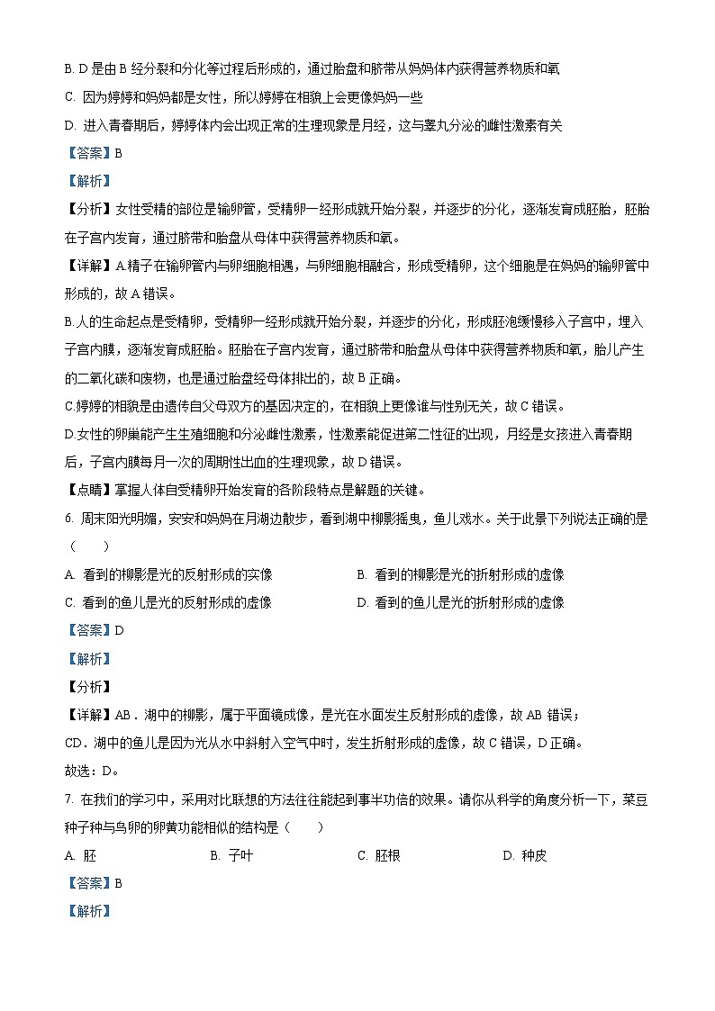 05，浙江省嘉兴市平湖市六校联合命题考试2023-2024学年七年级下学期4月期中科学试题第3页