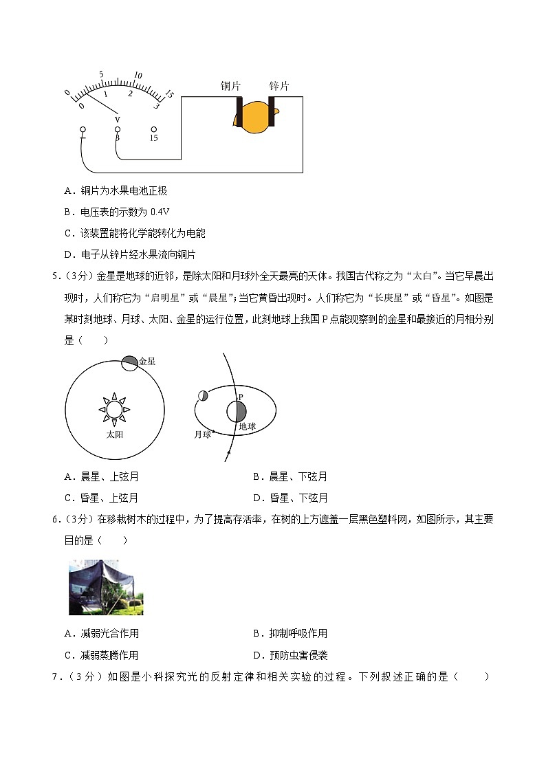 04，浙江省宁波市南三县2024年中考一模科学试卷02