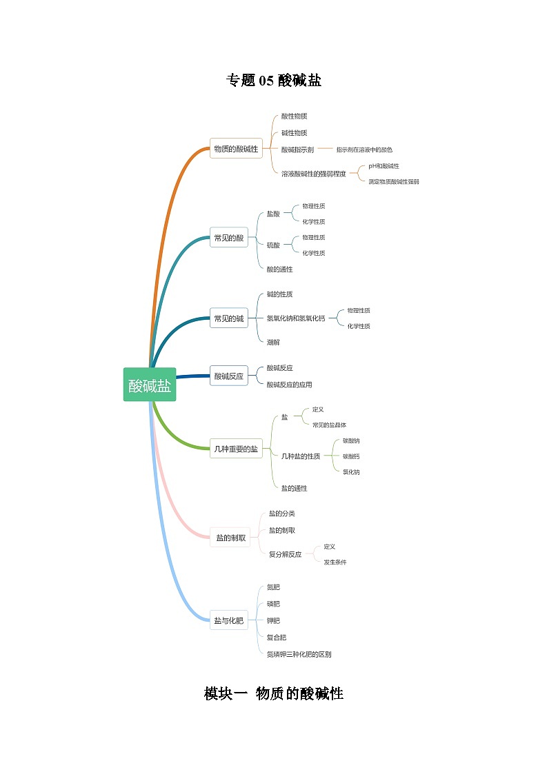 专题2.5 酸碱盐-【口袋书】2024年中考科学知识手册第1页
