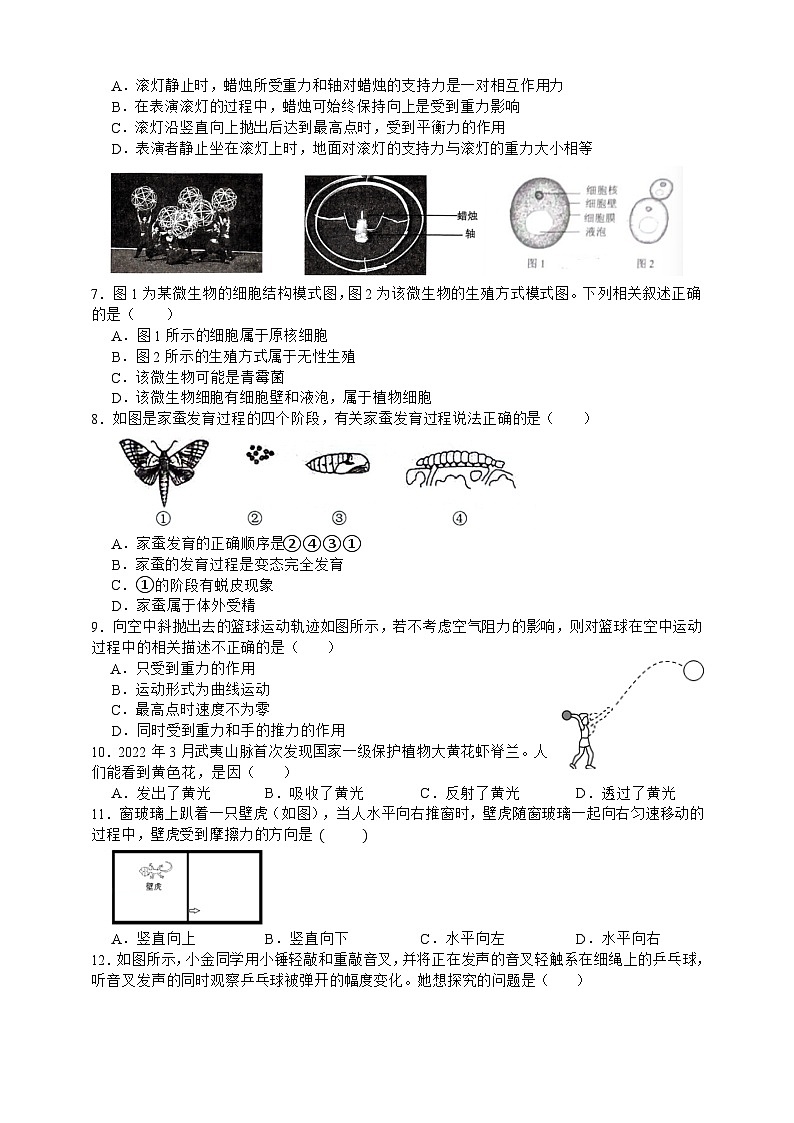 2023-2024学年浙教版七年级下册科学期末质量检测试题卷（2）第2页