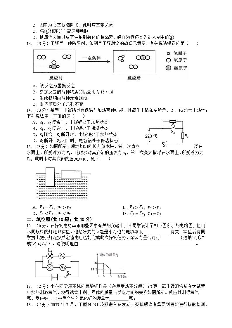 2024年浙江省科学中考模拟评估测试卷10第3页