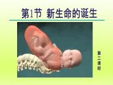 2024七年级科学下册第1章代代相传的生命1.1新生命的诞生第2课时课件（浙教版）