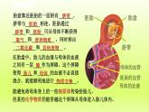 2024七年级科学下册第1章代代相传的生命1.1新生命的诞生第2课时课件（浙教版）