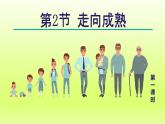 2024七年級科學(xué)下冊第1章代代相傳的生命1.2走向成熟第1課時課件（浙教版）