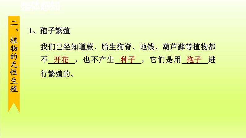 2024七年级科学下册第1章代代相传的生命1.5植物生殖方式的多样性第2课时课件（浙教版）第2页