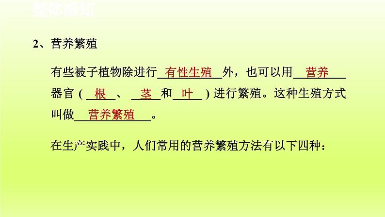 2024七年级科学下册第1章代代相传的生命1.5植物生殖方式的多样性第2课时课件（浙教版）第4页