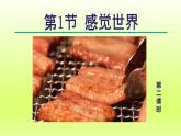 2024七年级科学下册第2章对环境的察觉2.1感觉世界第2课时课件（浙教版）