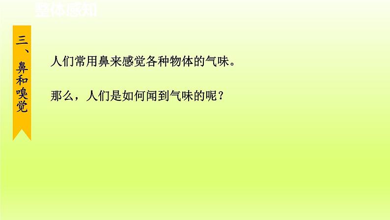 2024七年级科学下册第2章对环境的察觉2.1感觉世界第2课时课件（浙教版）02