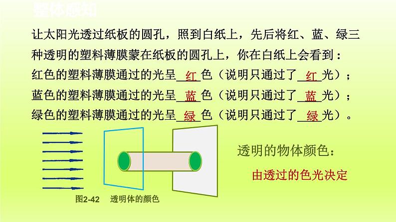 2024七年级科学下册第2章对环境的察觉2.4光和颜色第2课时课件（浙教版）第7页