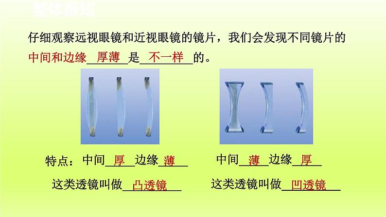 2024七年级科学下册第2章对环境的察觉2.6透镜和视觉第1课时课件（浙教版）第4页