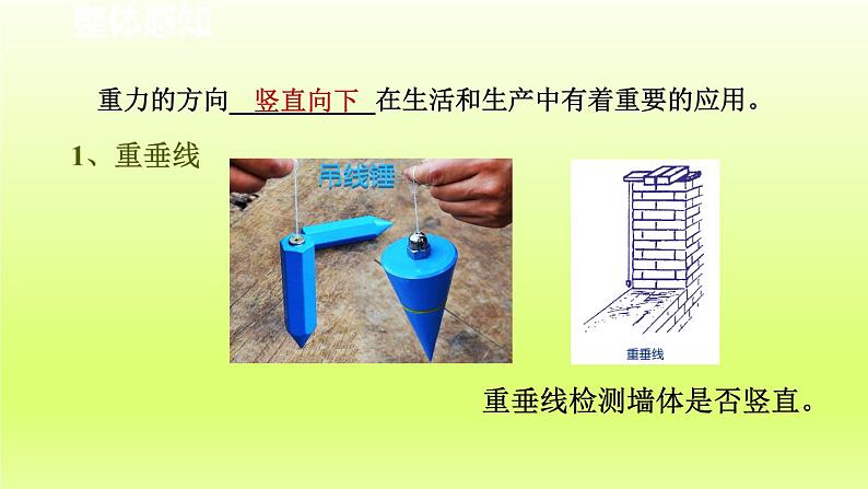 2024七年级科学下册第3章运动和力3.3重力第1课时课件（浙教版）第5页