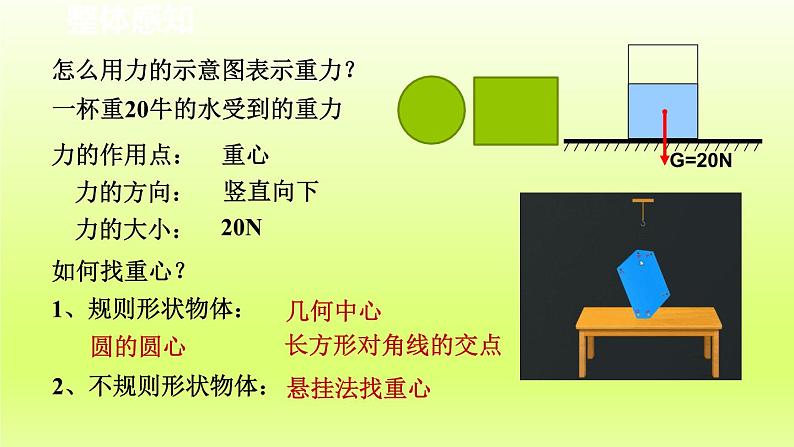 2024七年级科学下册第3章运动和力3.3重力第1课时课件（浙教版）第7页