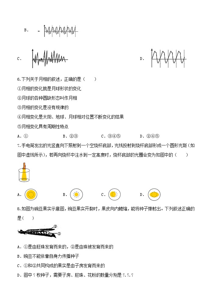 2023-2024学年浙教版七年级下学期期末模拟测试科学试题02